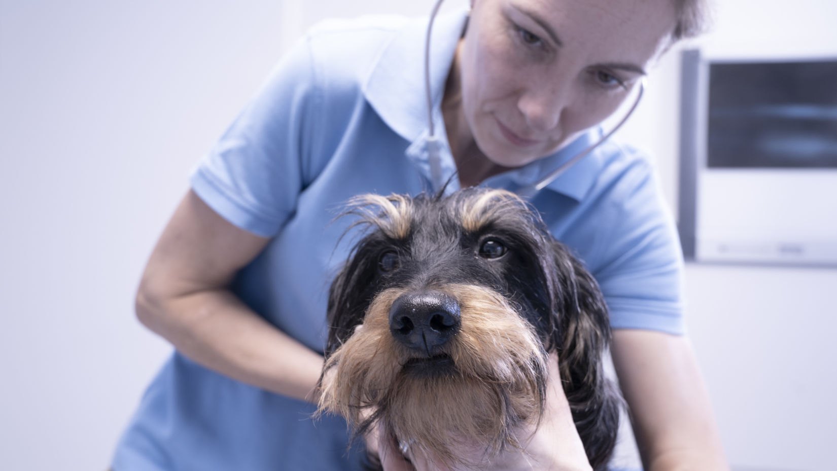 Home Animal Health Center