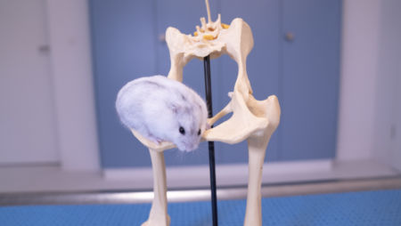 Allgemein-Hofmann_20190205-_DSC9800__05.-Februar-2019