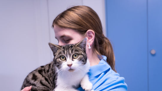 18-_DSC8510_29.-Januar-2019