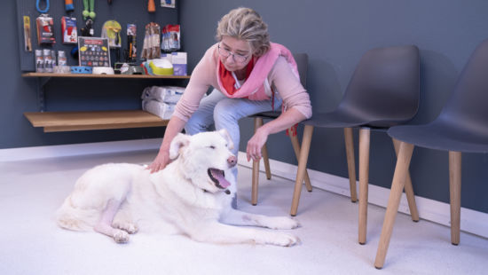 Allgemein-Hofmann_20190212-_DSC0233