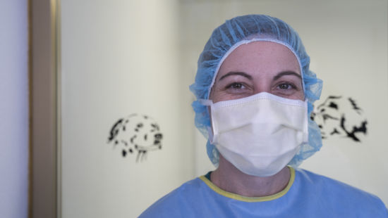 Chirurgie-Hofmann_Endoskopie_Chirurgie_492019_04.-Februar-2019