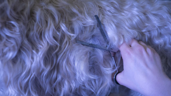 Hofmann_20190322-_DSC0833