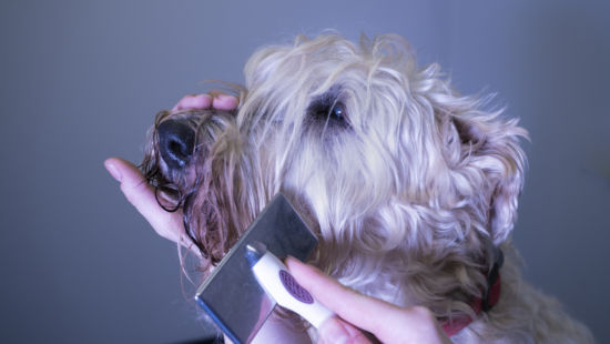 Hofmann_20190322-_DSC0838