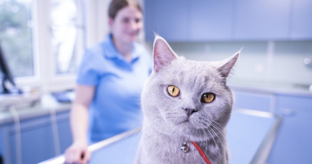 Home Animal Health Center